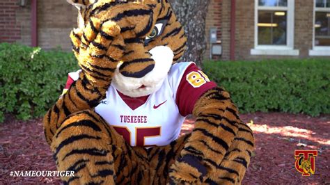 Please make all payments via your <b>TIgerWeb</b> Account using a credit card. . Tuskegee tiger web